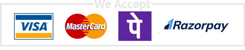 Payments accepted by rigloop.in